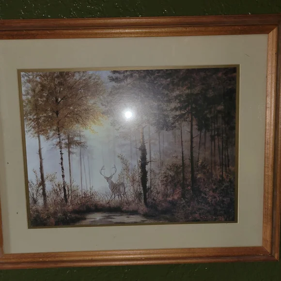 Gerald Coulson Framed Print "The Quiet Forest"